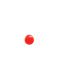 Nowa TV